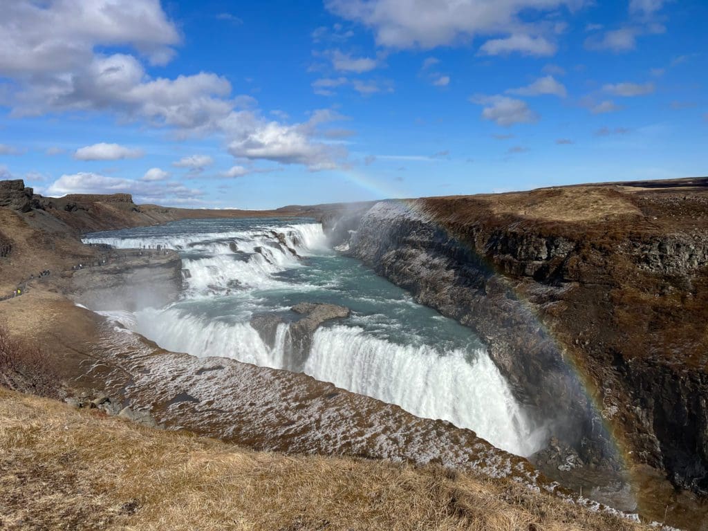 Cercled'Or-icelandicfrenchies-1