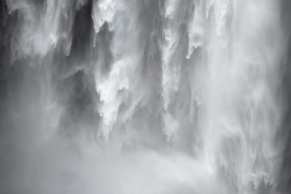 C“teSud-icelandicfrenchies-10