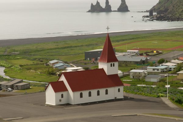 C“teSud-icelandicfrenchies-5