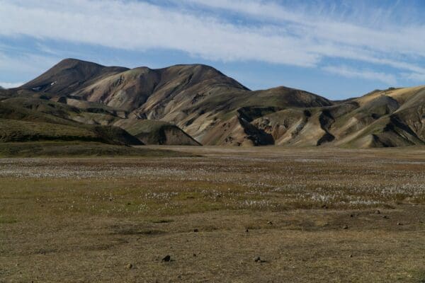 Landmannalaugar-icelandicfrenchies-11