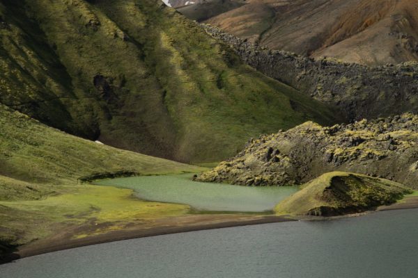Landmannalaugar-icelandicfrenchies-5