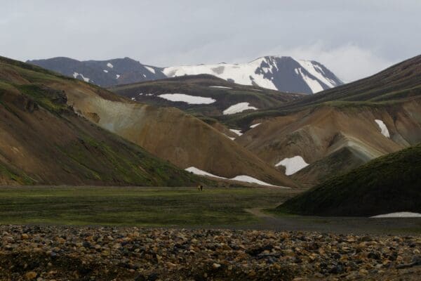 Landmannalaugar-icelandicfrenchies-8