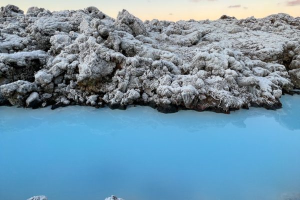 Reykjanes-icelandicfrenchies-6