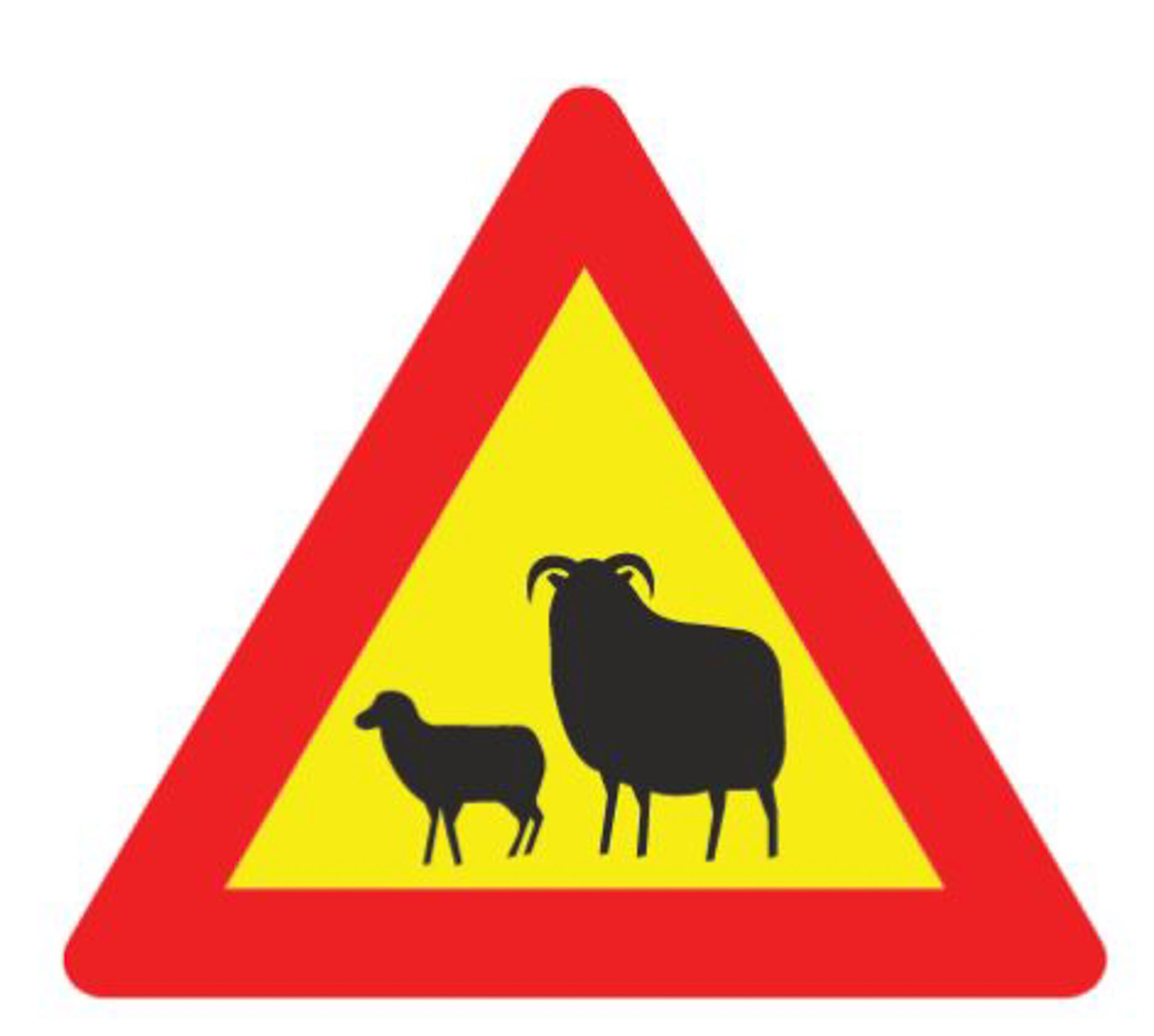 Attention aux moutons
