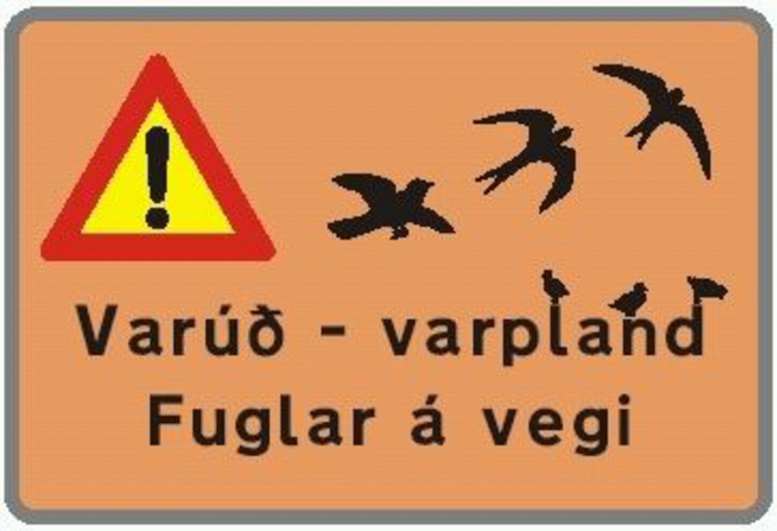 Attention aux oiseaux