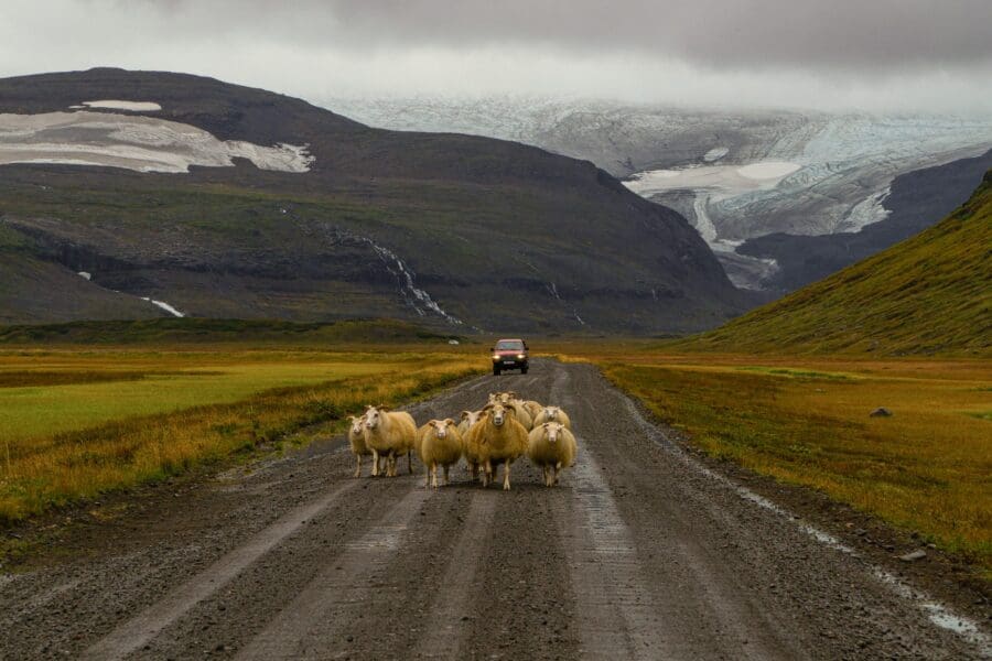 La Conduite en Islande, ce qu'il faut savoir
