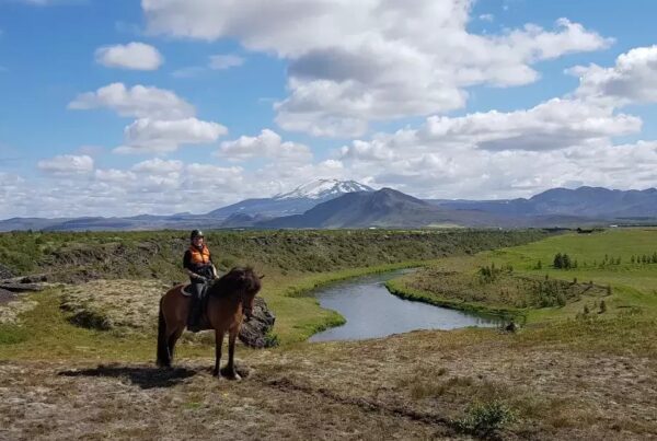 Balades et randonnées à cheval - cheval Islande