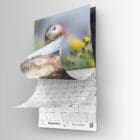calendrier 2026 US-4