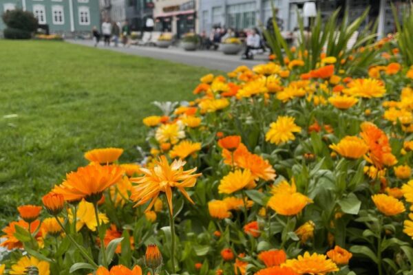 visiter Reykjavík