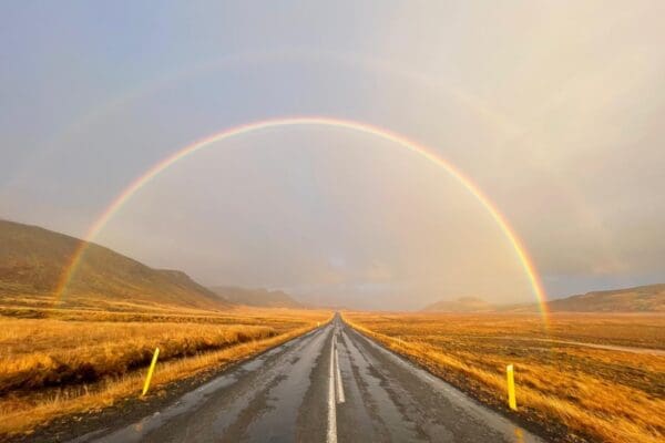 BlogQuefaireenoctobre-icelandicfrenchies-8