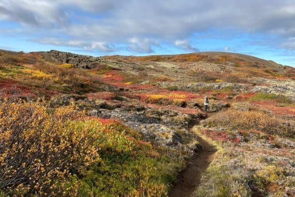 BlogQuefaireenoctobre-icelandicfrenchies-5